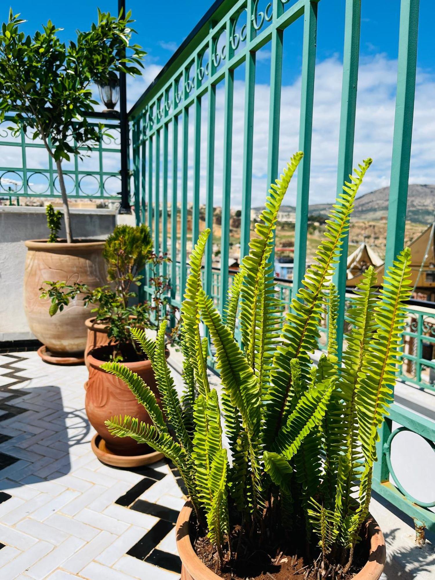 Riad Fes Miracle Экстерьер фото