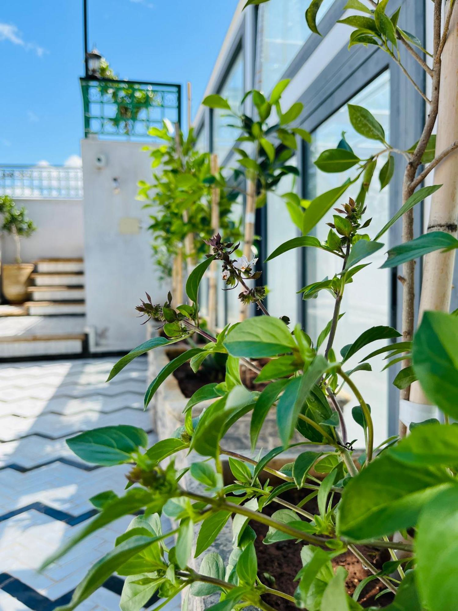 Riad Fes Miracle Экстерьер фото